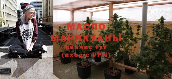 шишки Медвежьегорск